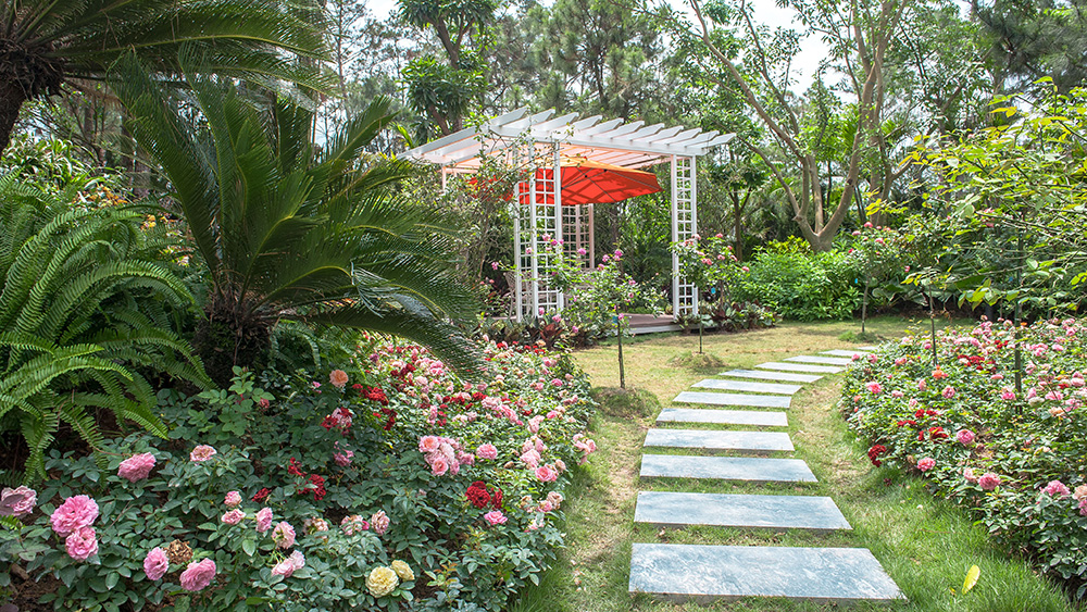 Tham quan khu biệt thự ngàn hoa đẹp như cổ tích Luxury Skylake Villa