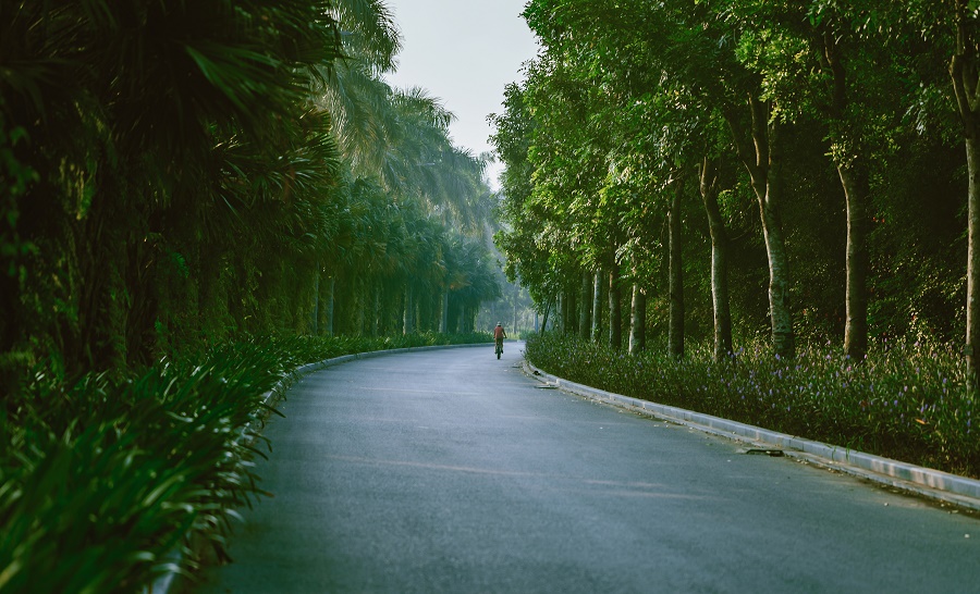 Ecopark: KĐT có chất lượng không khí tốt nhất Việt Nam